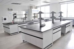 成都華銳凈化您介紹無機(jī)質(zhì)譜儀對(duì)潔凈實(shí)驗(yàn)室裝