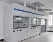 專(zhuān)業(yè)廠(chǎng)家多方面簡(jiǎn)析怎樣辨別實(shí)驗(yàn)室通風(fēng)柜優(yōu)劣