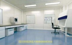 醫(yī)學(xué)BSLＧ２實驗室檢測和驗收要求